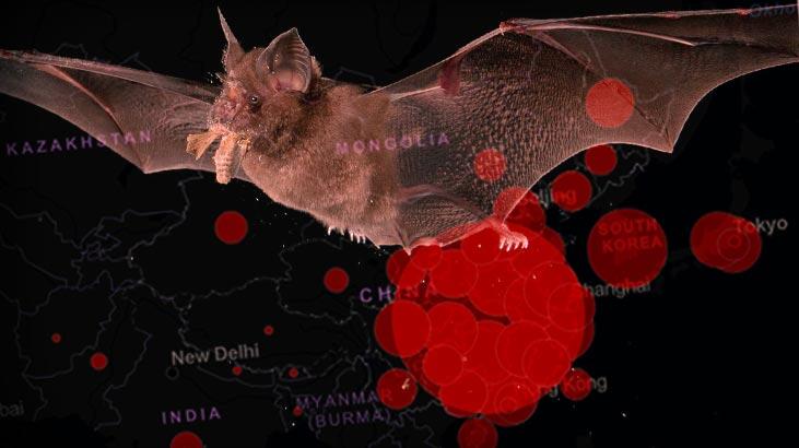 BM küresel risk haritasını çıkaracak