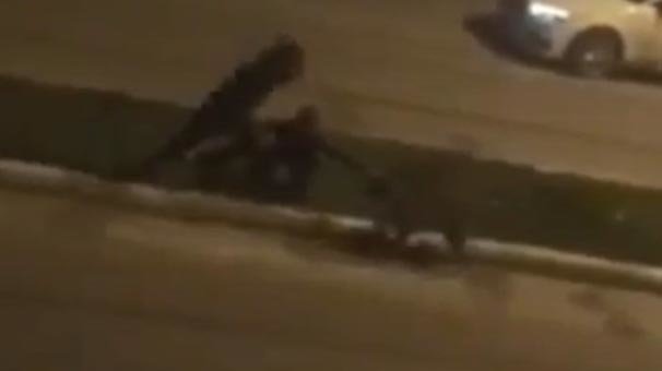 Bu kez görüntüler Batman'dan! Sokak köpeklerine şiddet uyguladılar