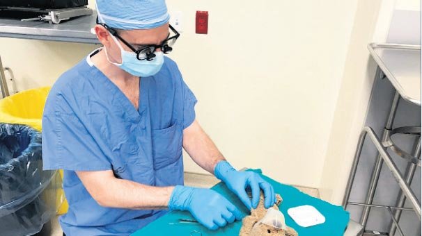 Bu kez hastası oyuncak ayı