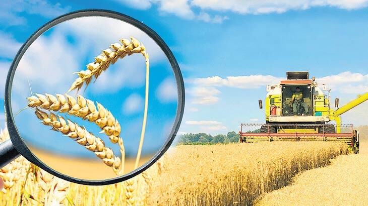 Buğdayda ‘emniyet stoku’ oluşturulmalı