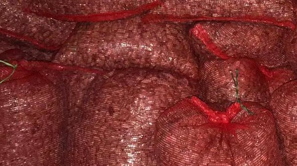 Bursa'da ele geçirildi! Tam 1 ton 300 kilogram...