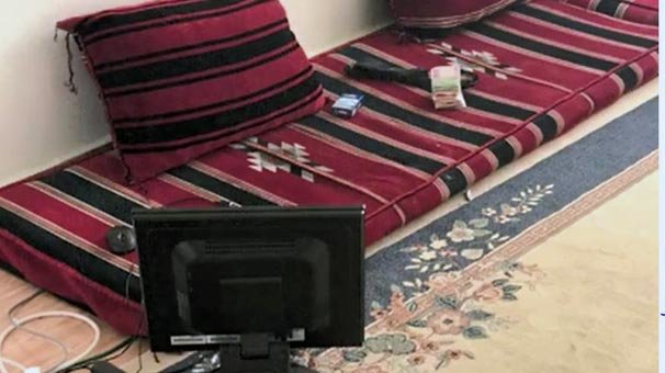 Çalılıkların arasına gizleyip kanepeden izlemişler!
