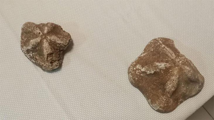 Çanakkale’de ele geçirildi! Milyonlarca yıl öncesine ait