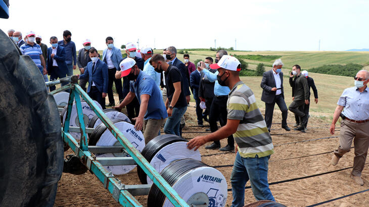 Çeltiğin yüzde 41'inin karşılandığı Edirne'de, damla sulama üretim başladı