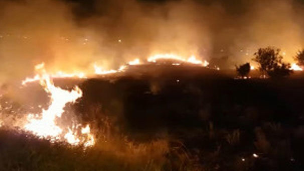 Çeşme'de korkutan yangın