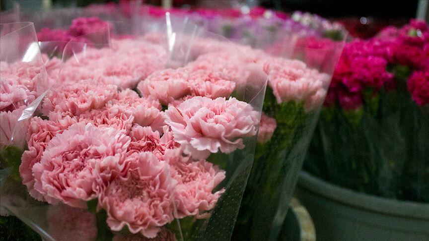 Çiçek ihracatında Kovid-19 nedeniyle yaklaşık yüzde 45 kayıp yaşandı