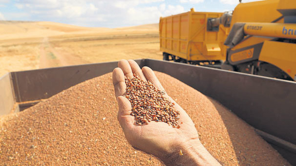 Çiftçinin kafası karışık!