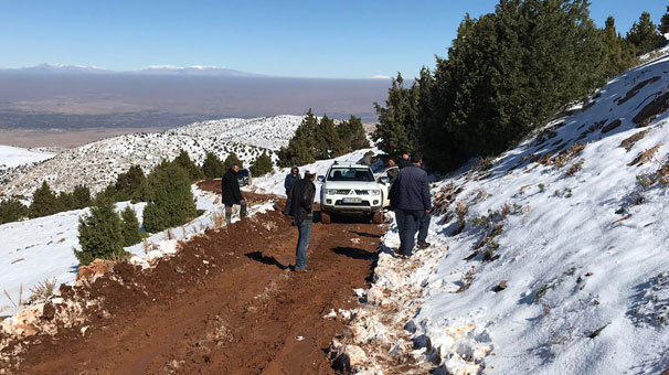 Çoban uyudu vahşi kurtlar acımadı!