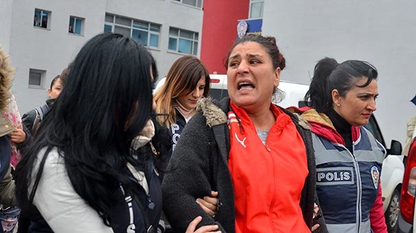 Cono'ların şifreli dili çözüldü