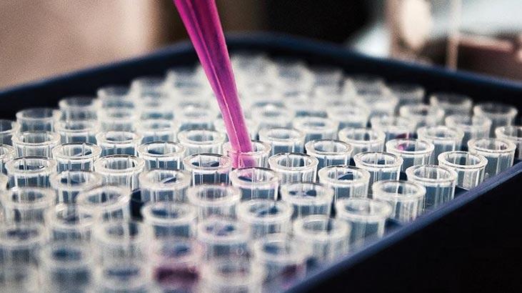 Corona virüs için flaş antikor iddiası: 4 gün içinde vücuttan atıyor