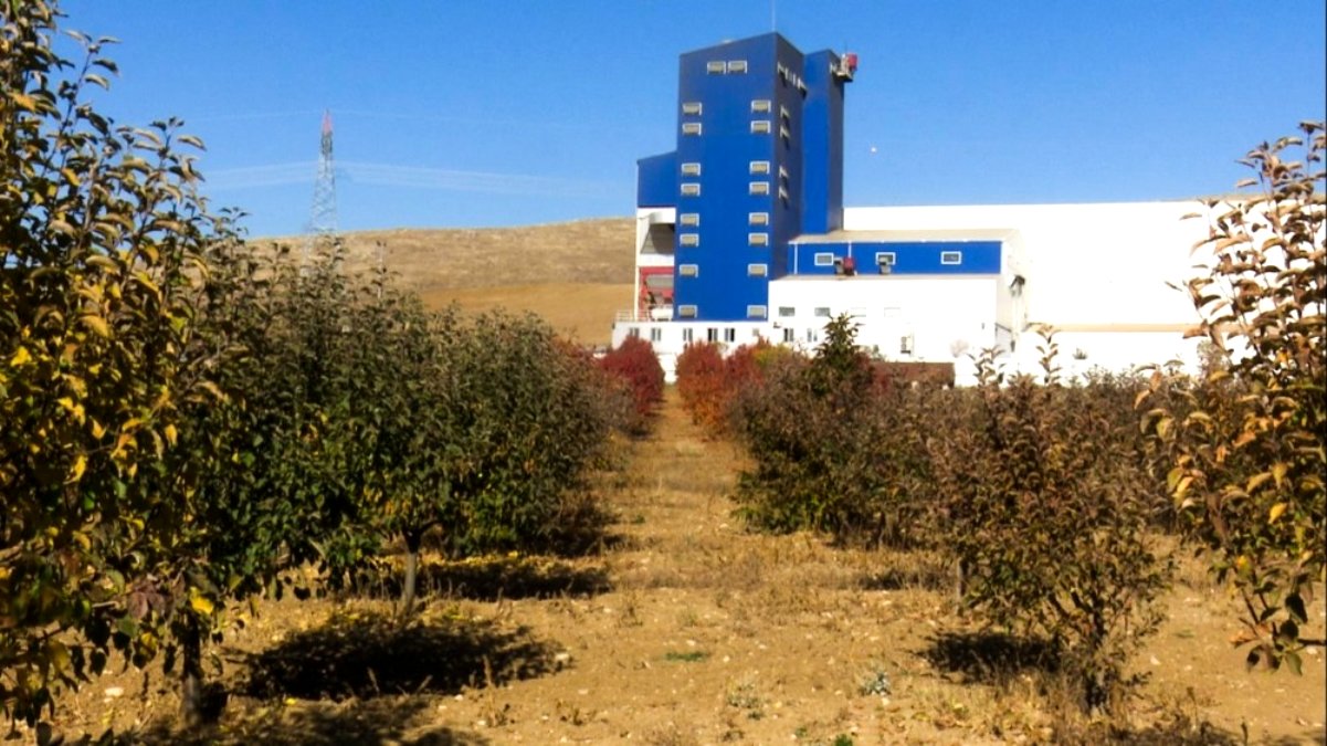Çorum'da biyokütle enerji santrali ile meyve bahçesi yan yana