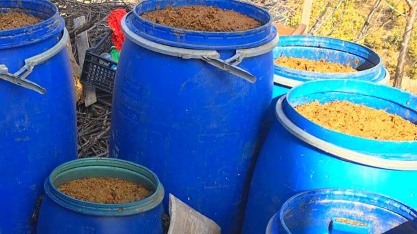 Çorum'da ele geçirildi! Bakın ne yapıyorlarmış?