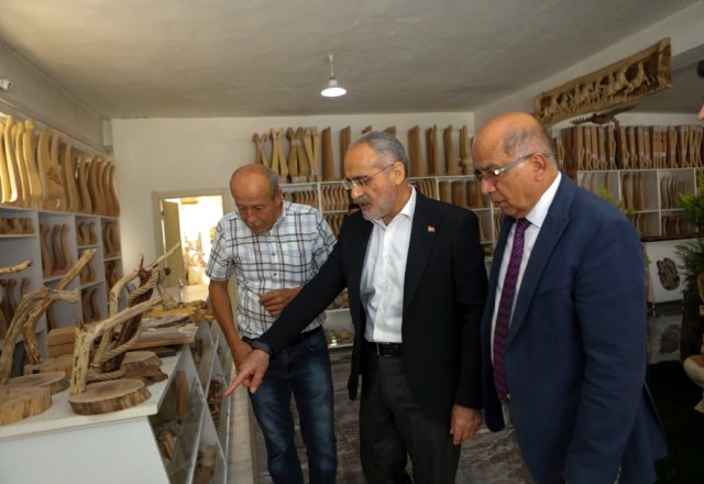 Cumhurbaşkanı Başdanışmanı Topçu: 