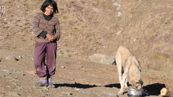 Dağda yaşayan aileye dair Erzincan Valisi'nden açıklama