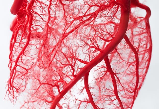 Damar yaşınız sağlığınızı ele veriyor!