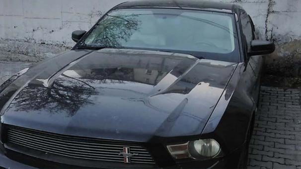 Değeri çok yüksek, yasa dışı yollarla getirildi!