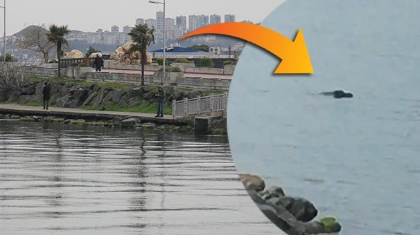 Denize atlayan adamı oltayla kurtardı