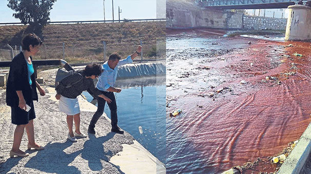 Dereyi kan gölüne çeviren firmaya ceza!