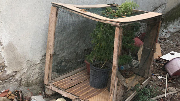 Dışarıdan tavuk kümesi olarak gözüküyor ama... Jandarma operasyon düzenledi