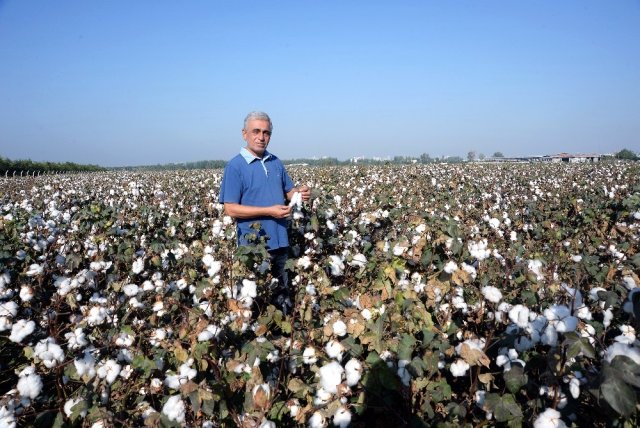 Doğan: 