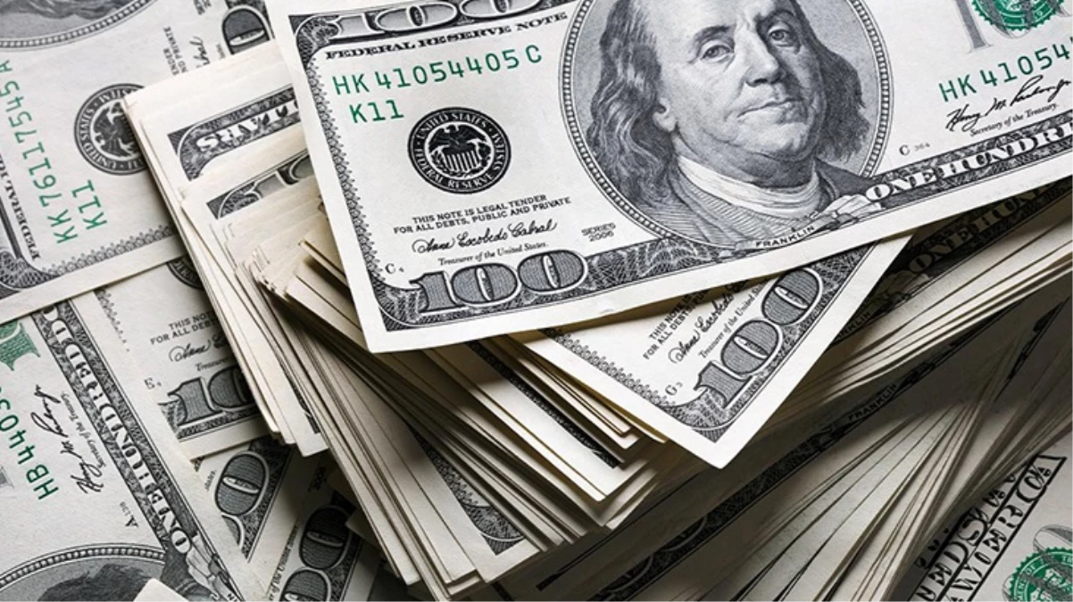 Dolar 24 liraya mı düştü? Google'ın hatası ortalığı ayağa kaldırdı