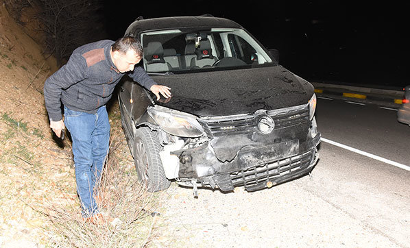 Domuz sürüsü kazaya neden oldu