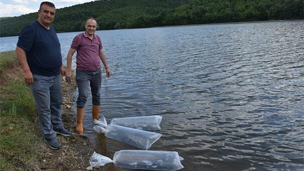 Dün Bitlis bugün Sinop! Hepsi böyle bırakıldı