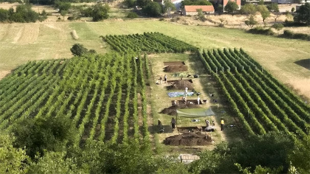'Dünyanın en eski peyniri' Hırvatistan'da bulundu
