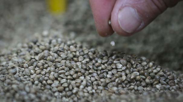 Dünyanın en iyisi Samsun'da!