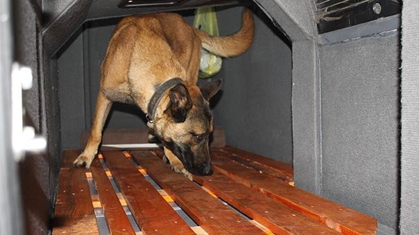 Durdurulan yolcu otobüsünde çıktı! Yedek şoför dinlenme kabinine saklamışlar