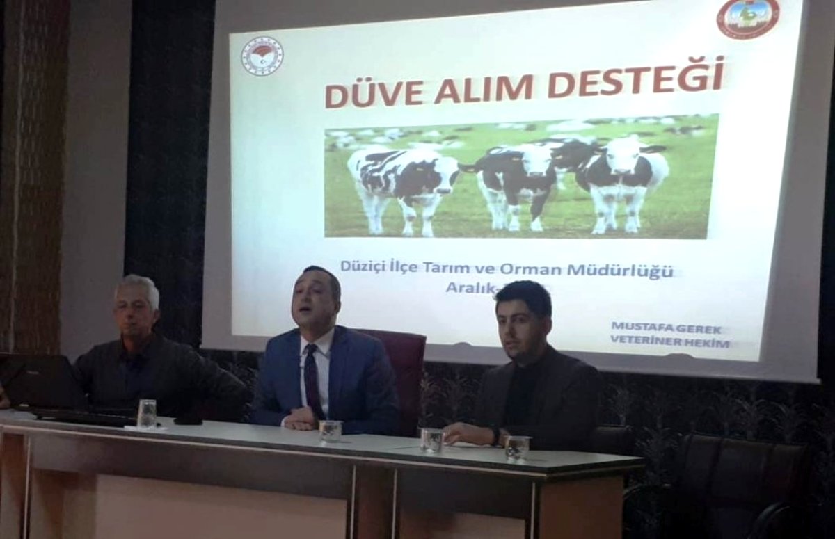 Düziçi'nde yetiştiricilere düve alım desteği bilgilendirmesi