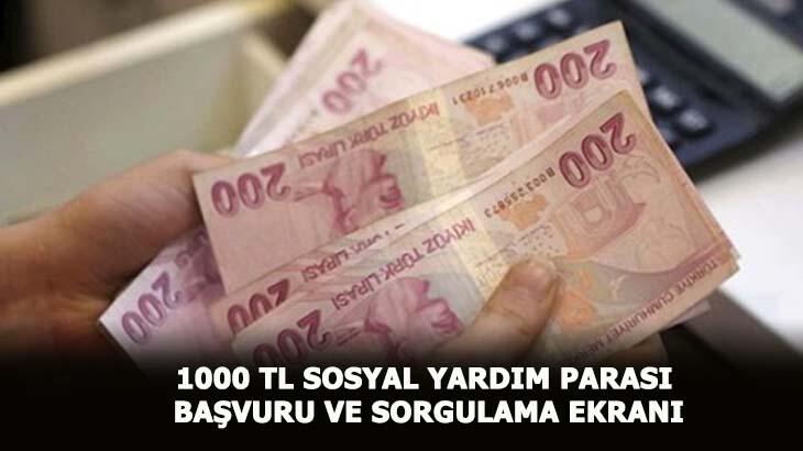 e-Devlet 1000 TL yardım başvurusu sonucu sorgulama 2020! Pandemi sosyal yardım parası başvurusu nasıl yapılır, kimler alabilecek?