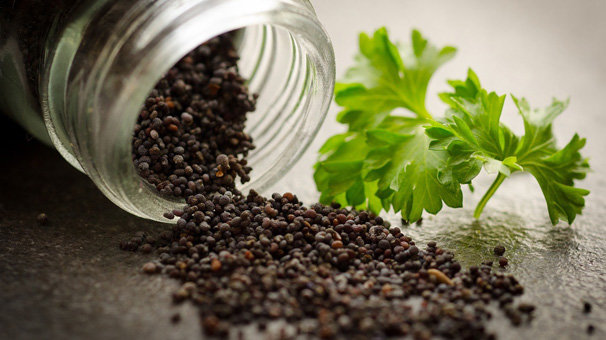 Ege'den 149 ülkeye ihraç edildi