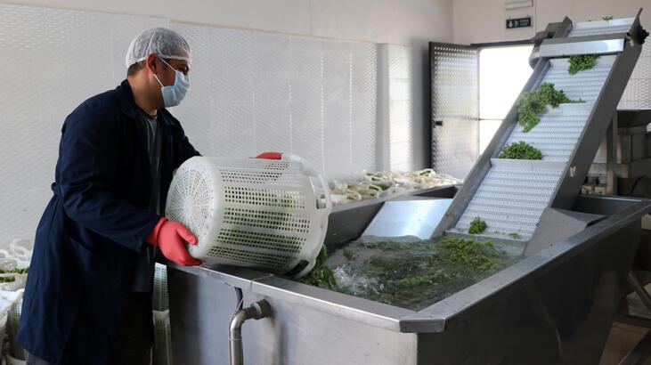 Enstitünün ürettiği üzüm ve koruk suyu 'yok satıyor'