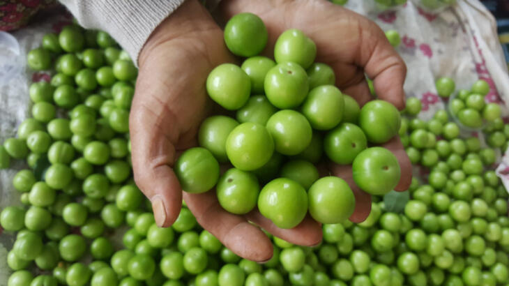Erik fiyatları düştü, birlik başkanı 'geçici bir durum' dedi