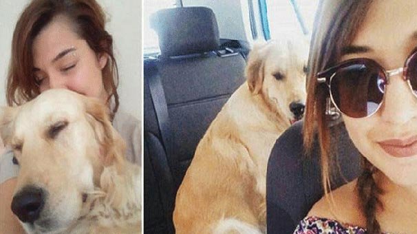 Eski sevgililerin köpek davasında yeni iddia ‘belgede sahtecilik’