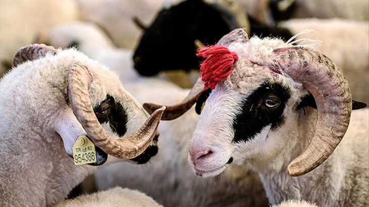 Esnaf Kurban Bayramı'ndan umutlu