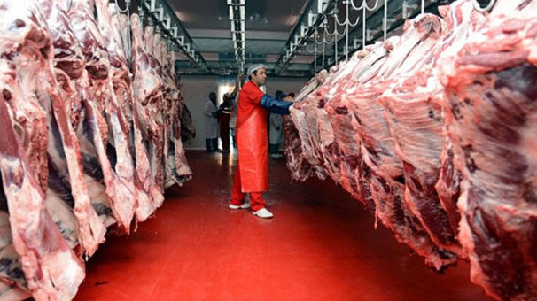 Ette ihracat başlıyor