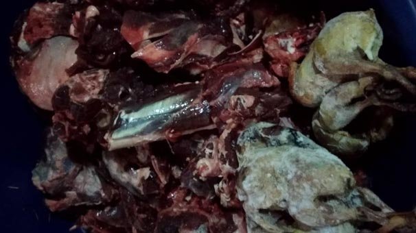 Evlerinde çıkmıştı! O iki kişiye rekor ceza...