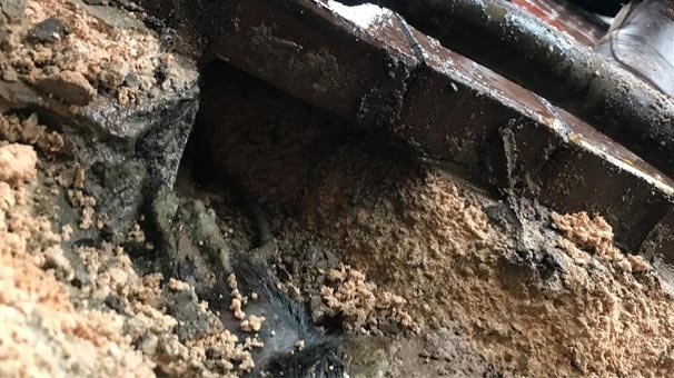 Farenin yaptıkları halkı ayaklandırdı! Kazdıklarında ortaya çıktı...
