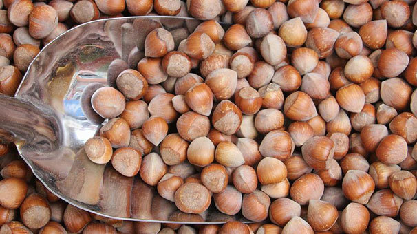 Fındık ihracatçısı yeni yıla umutlu giriyor