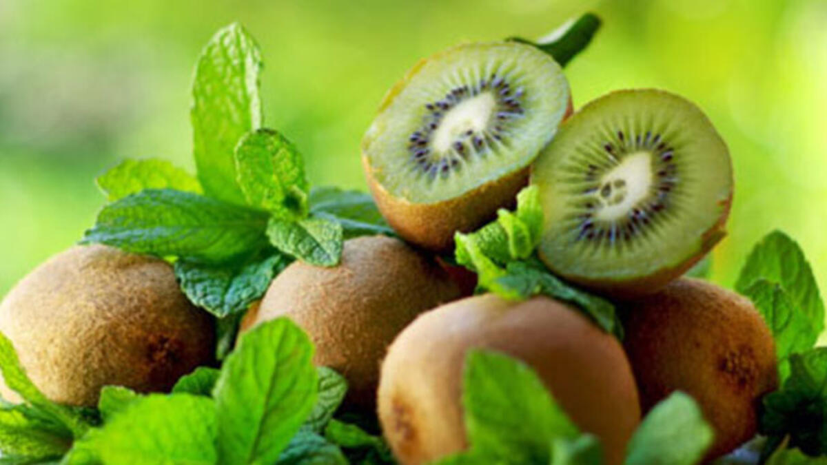 Fındık ve kivi üreticilerine sigorta uyarısı