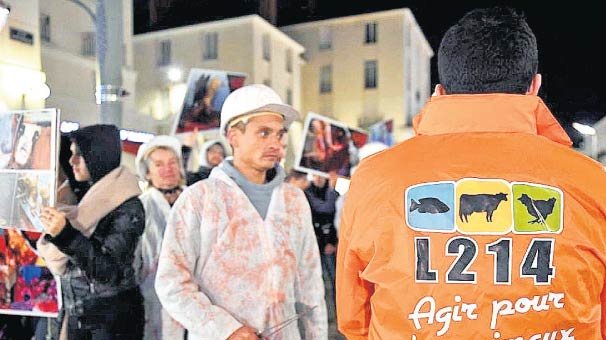 Fransa’da hayvanlara işkence