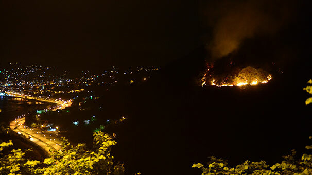 Giresun'da örtü yangını