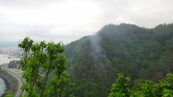 Giresun'daki orman yangını kendiliğinden söndü