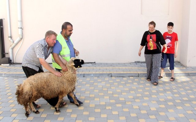 Görme engelli yetimin kurban hayali gerçek oldu