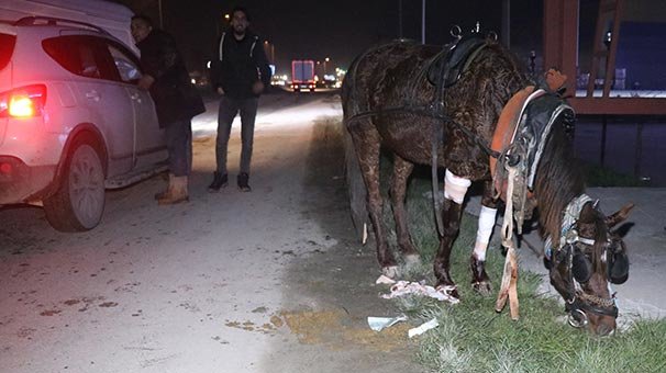 Hastaneye gitmeyi reddetti! Bir saniye olsun yalnız bırakmadı...