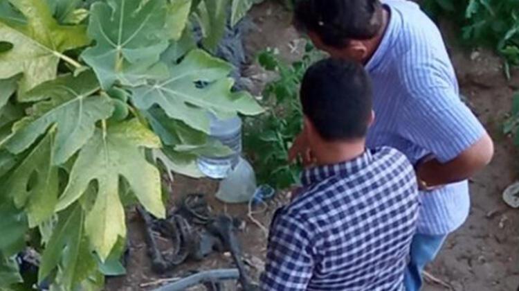 Hatay'da kuyudan insana ait olduğu sanılan kemikler çıktı