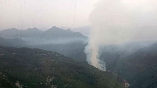 Hatay'da orman yangını: Çalışmalar devam ediyor