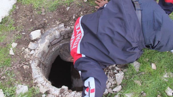 Havlayan köpeği takip edince gözlerine inanamadılar